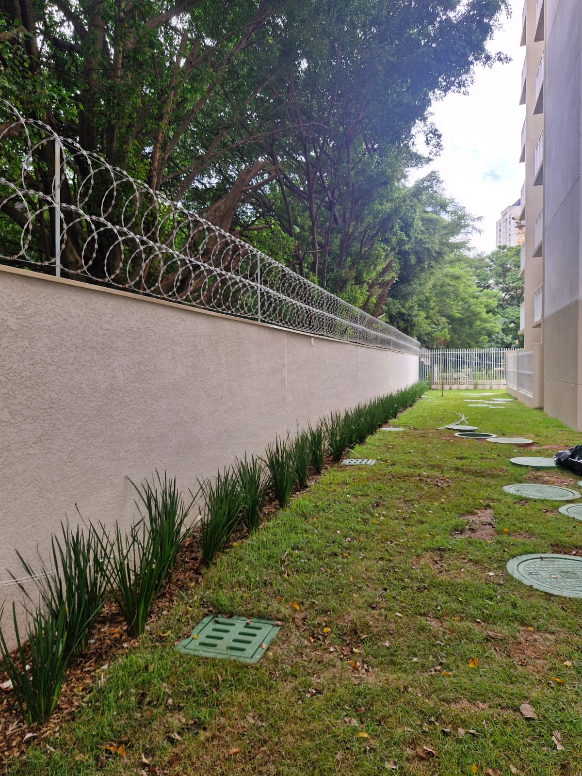 Concertina Simples Dupla Fiada